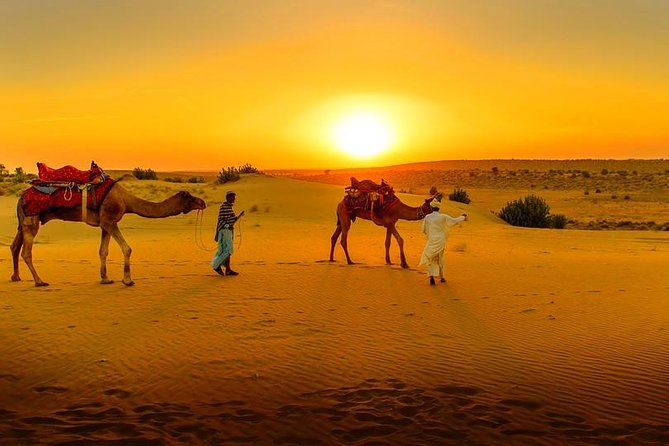 Atlas Mountains and Agafay Desert Tour from Marrakech and Camel ride