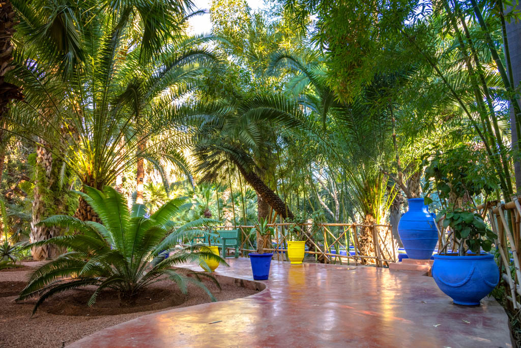 Majorelle garden, morocco photography workshop