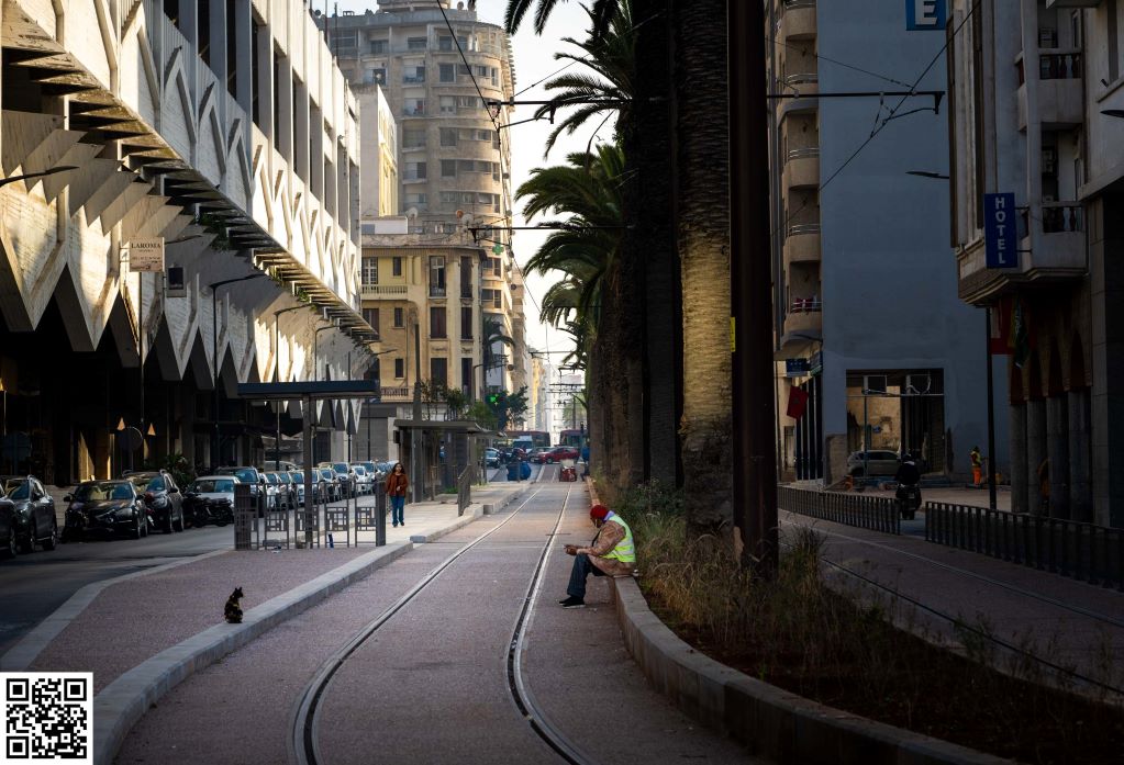A person and a cat sit on opposite sides of the tram tracks in Casablanca, Morocco.
Moroccan cats