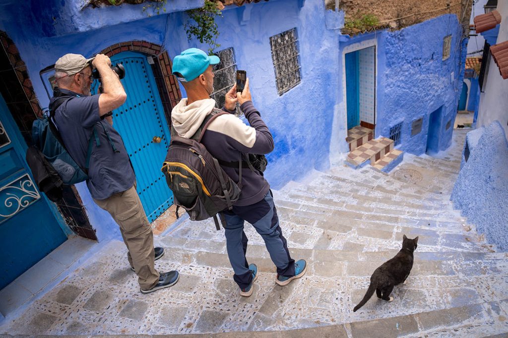 Cat and photo tourist in Chefchaouen, Morocco