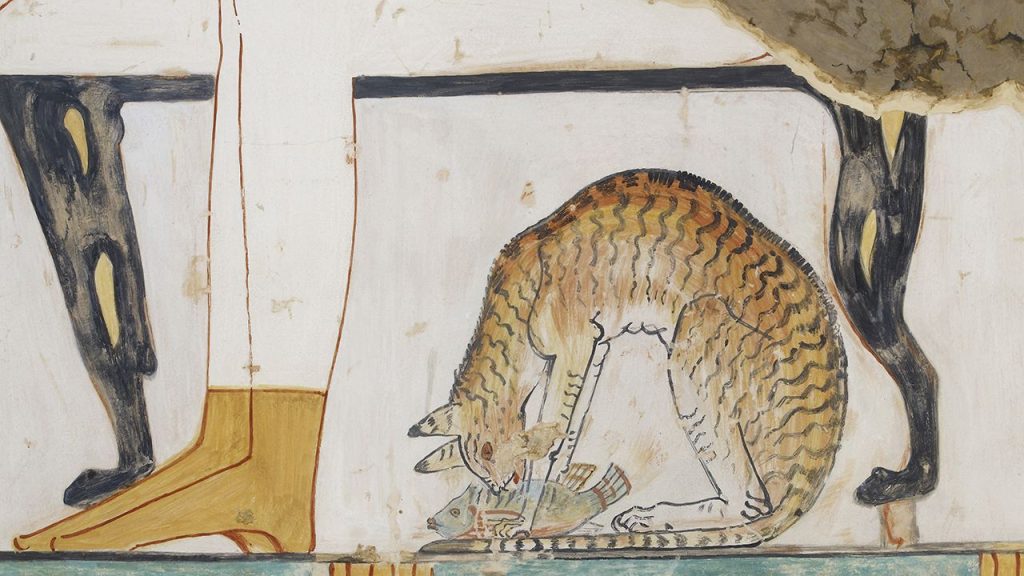 A cat in a domestic setting eating under a dining table sometime after 1500 B.C.E.